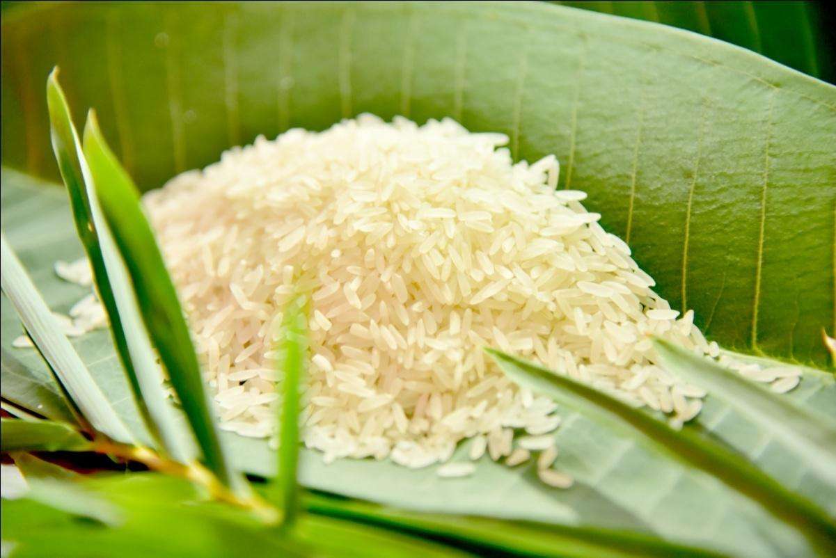 了解有機大米儲藏特點，正確進行儲藏